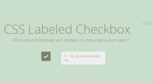 CSS Labeled Checkbox