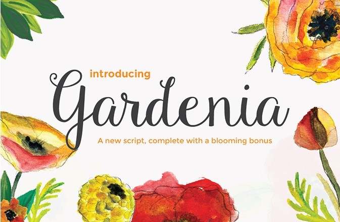 Gardenia Script