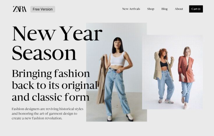 ZARA Fashion Shopping Website & Animation