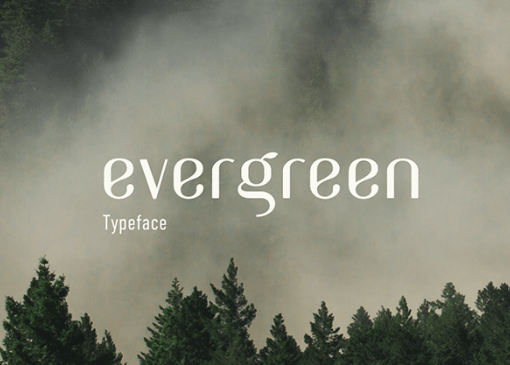 Evergreen